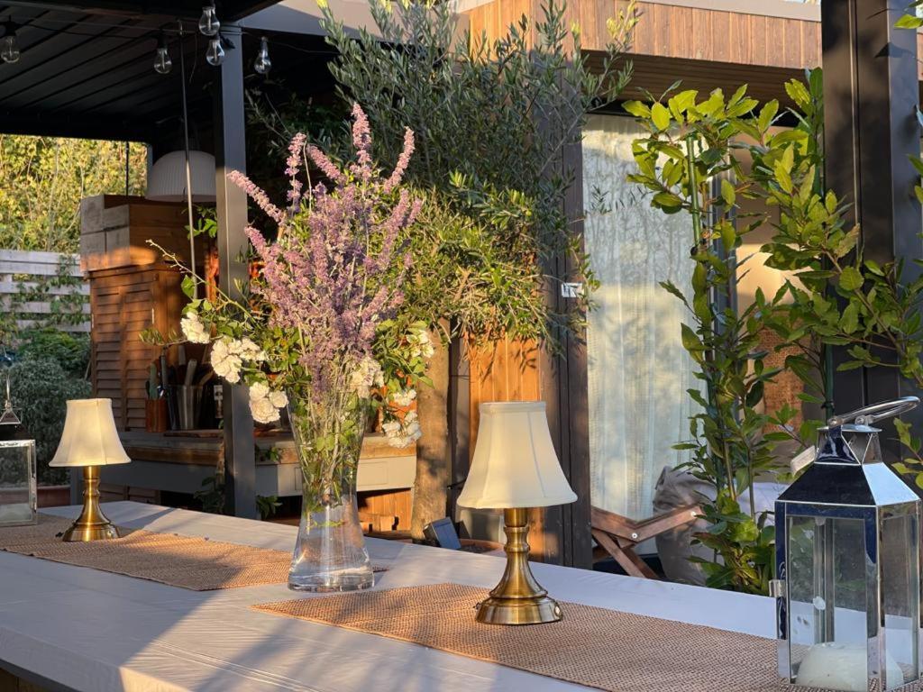 Dragonfly Glamping Spa Retreat 애슈퍼드 외부 사진