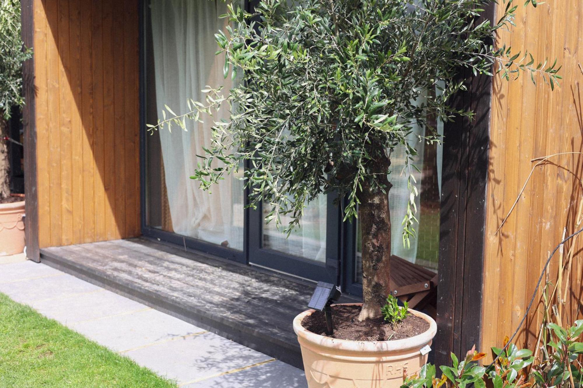 Dragonfly Glamping Spa Retreat 애슈퍼드 외부 사진
