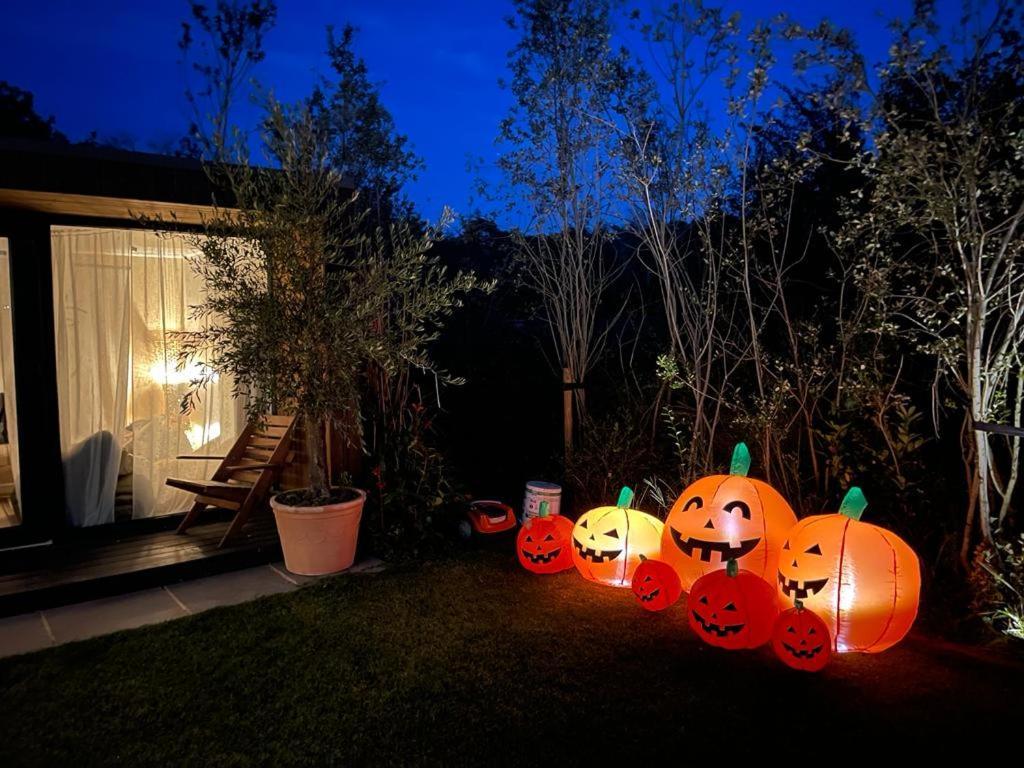 Dragonfly Glamping Spa Retreat 애슈퍼드 외부 사진