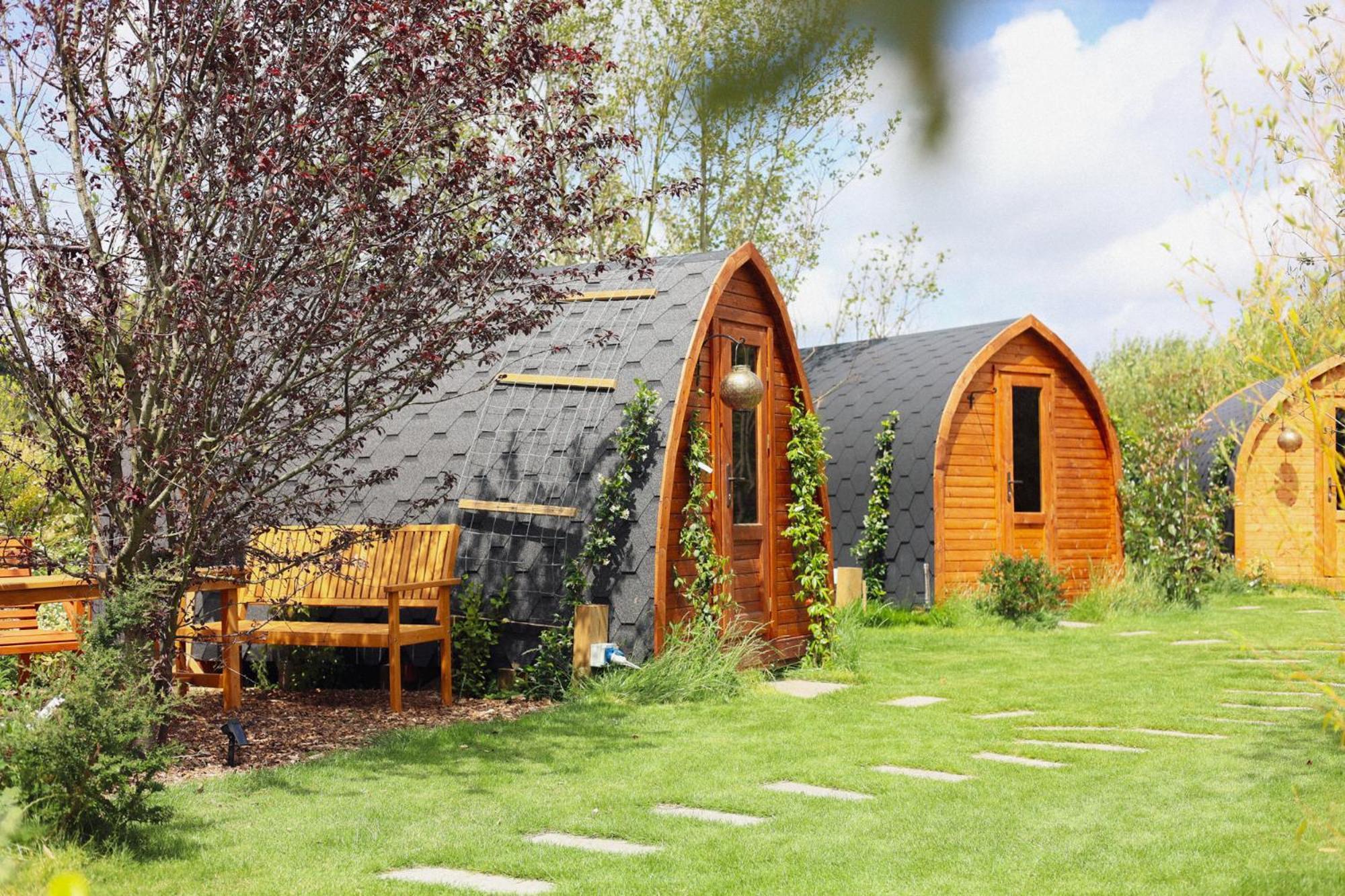 Dragonfly Glamping Spa Retreat 애슈퍼드 외부 사진